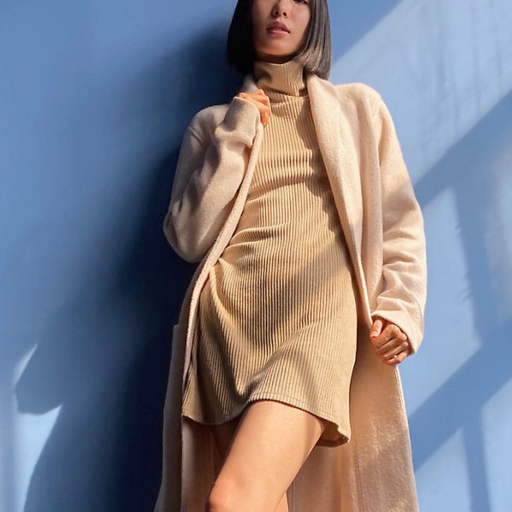 Aritzia The Group by Babaton Victoria Dress Ribbed long-sleeve turtleneck - M